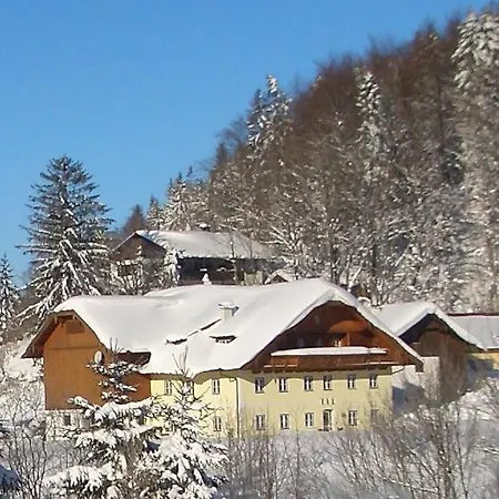 Vendégház Eisenstattgut 3*