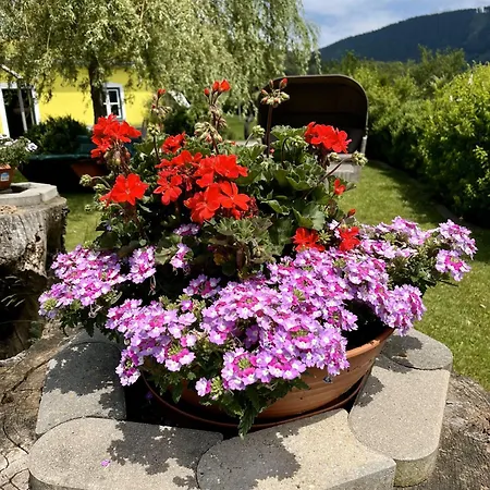 Eisenstattgut Pensjonat 3*