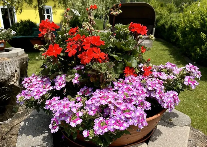 Eisenstattgut בית הארחה 3*